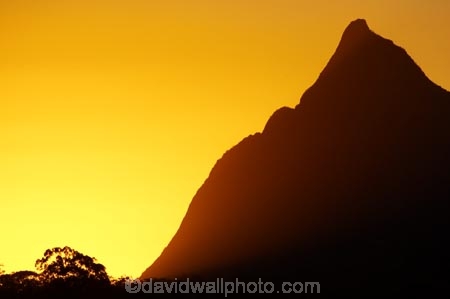 australasia;Australia;australian;dusk;Glass-House-Mountains;Glass-House-Mountains-National;Hinterland;mountain;mountains;natural;nature;orange;Queensland;silhouette;silhouettes;sunset;sunsets;sunshine-coast;twilight;volcanic-plug;volcanic-plugs
