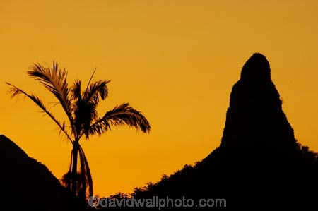 australasia;Australia;australian;dusk;Glass-House-Mountains;Glass-House-Mountains-National;Hinterland;mountain;mountains;natural;nature;orange;palm;palm-tree;palm-trees;palms;Queensland;silhouette;silhouettes;sunset;sunsets;sunshine-coast;twilight;volcanic-plug;volcanic-plugs
