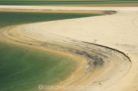 s;s-bend;australasia;Australia;australian;beach;beaches;blue;coast;coastal;coastline;green;holiday;holidays;idyllic;inlet;inlets;laguna-bay;mouth;mouths;Noosa-Heads;noosa-inlet;Noosa-River;oceans;pacific-ocean;paradise;Queensland;river-mouth;rivers;s;s-bend;sand;sand-bar;sand-bars;sandy;shore;shoreline;Sunshine-Coast;tidal;tide;tropical;vacation;vacations;water