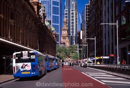 Buses;bus;York-St;york;street;st;Town-Hall;town;hall;Clock-Tower;clock;tower;Sydney;CBD;c.b.d.;central-business-district;Australia;city-