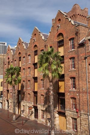 1883;1884;Australasia;Australasian-Steam-Navigation;Australasian-Steam-Navigation-Co-Building;Australasian-Steam-Navigation-Co.-Building;Australasian-Steam-Navigation-Company-Building;Australasian-United-Steam-Navigation-Building;Australasian-United-Steam-Navigation-Co-Building;Australasian-United-Steam-Navigation-Co.-Building;Australasian-United-Steam-Navigation-Company-Building;Australia;Australian;Australian-Steam-Navigation-Building;Australian-Steam-Navigation-Co-Building;Australian-Steam-Navigation-Co.-Building;Australian-Steam-Navigation-Company-Building;building;buildings;heritage;historic;historic-building;historic-buildings;historical;historical-building;historical-buildings;history;N.S.W.;New-South-Wales;NSW;old;palm-tree;palm-trees;Rocks;Sydney;The-Rocks;tradition;traditional