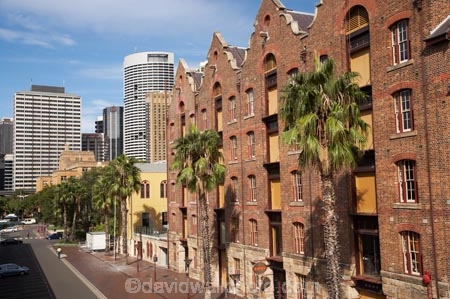 1883;1884;Australasia;Australasian-Steam-Navigation;Australasian-Steam-Navigation-Co-Building;Australasian-Steam-Navigation-Co.-Building;Australasian-Steam-Navigation-Company-Building;Australasian-United-Steam-Navigation-Building;Australasian-United-Steam-Navigation-Co-Building;Australasian-United-Steam-Navigation-Co.-Building;Australasian-United-Steam-Navigation-Company-Building;Australia;Australian;Australian-Steam-Navigation-Building;Australian-Steam-Navigation-Co-Building;Australian-Steam-Navigation-Co.-Building;Australian-Steam-Navigation-Company-Building;building;buildings;heritage;historic;historic-building;historic-buildings;historical;historical-building;historical-buildings;history;N.S.W.;New-South-Wales;NSW;old;palm-tree;palm-trees;Rocks;Sydney;The-Rocks;tradition;traditional