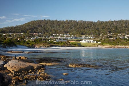 Australasian;Australia;Australian;beach;beaches;Bicheno;coast;coastal;coastline;coastlines;coasts;East-Tasmania;Eastern-Tasmania;foreshore;Island-of-Tasmania;ocean;sand;sandy;sea;shore;shoreline;shorelines;shores;State-of-Tasmania;Tas;Tasmania;water