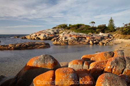 algae;Australasian;Australia;Australian;Bay-of-Fires;Binalong-Bay;coast;coastal;coastline;coastlines;coasts;East-Tasmania;Eastern-Tasmania;foreshore;fungi;geological;geology;Island-of-Tasmania;lichens;ocean;orange;orange-lichen;orange-lichens;orange-rock;orange-rock-lichen;orange-rock-lichens;orange-rocks;rock;rock-formation;rock-formations;rock-outcrop;rock-outcrops;rocks;sea;shore;shoreline;shorelines;shores;State-of-Tasmania;stone;Tas;Tasmania;water