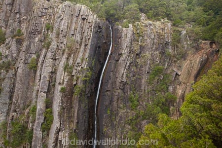 Australasian;Australia;Australian;cascade;cascades;creek;creeks;East-Tasmania;Eastern-Tasmania;falls;Island-of-Tasmania;Mount-Victoria-Forest-Reserve;Mt-Victoria-Forest-Reserve;Mt.-Victoria-Forest-Reserve;natural;nature;Ralphs-Falls;scene;scenic;State-of-Tasmania;stream;streams;Tas;Tasmania;water;water-fall;water-falls;waterfall;waterfalls;wet