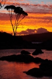 Australasian;Australia;Australian;Bay-of-Fires;Binalong-Bay;cloud;clouds;coast;coastal;coastline;coastlines;coasts;dusk;East-Tasmania;Eastern-Tasmania;eucalypt;eucalypts;eucalyptus;eucalytis;evening;foreshore;gum;gum-tree;gum-trees;gums;inlet;Island-of-Tasmania;nightfall;ocean;orange;sea;shore;shoreline;shorelines;shores;sky;slies;State-of-Tasmania;sunset;sunsets;Tas;Tasmania;tree;trees;twilight;water