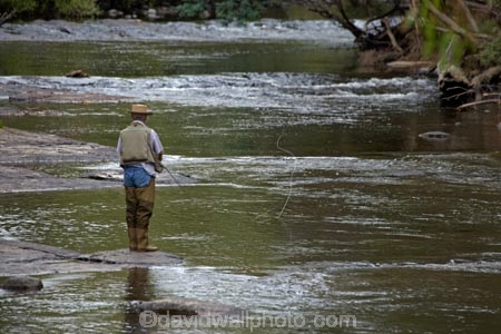 Australasian;Australia;Australian;fisher;fisherman;fishermen;fisherwoman;fishing;fishing-rod;fishing-rods;fly-fisherman;fly-fishing;fly_fishing;Ginger-Creek;Island-of-Tasmania;leisure;Mount-Field-N.P.;Mount-Field-National-Park;Mount-Field-NP;Mt-Field-N.P.;Mt-Field-National-Park;Mt-Field-NP;pastime;recreation;recreational;relaxing;rod;rods;sport;State-of-Tasmania;Tas;Tasmania