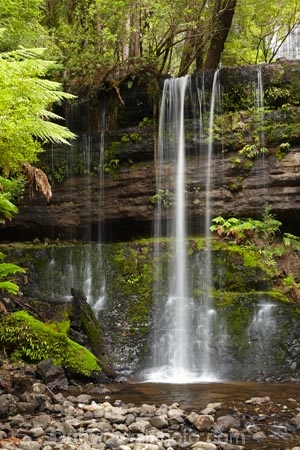 Australasian;Australia;Australian;cascade;cascades;creek;creeks;Derwent-Valley;falls;fern;ferns;frond;fronds;Island-of-Tasmania;Mount-Field-N.P.;Mount-Field-National-Park;Mount-Field-NP;Mt-Field-N.P.;Mt-Field-National-Park;Mt-Field-NP;natural;nature;Russell-Falls;scene;scenic;State-of-Tasmania;stream;streams;Tas;Tasmania;water;water-fall;water-falls;waterfall;waterfalls;wet