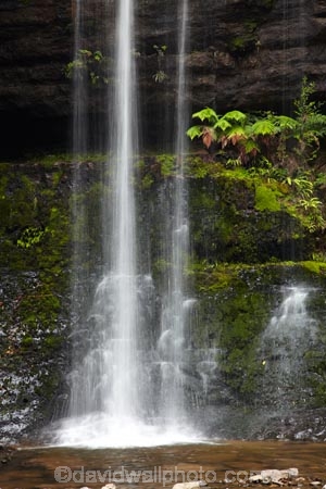 Australasian;Australia;Australian;cascade;cascades;creek;creeks;Derwent-Valley;falls;Island-of-Tasmania;Mount-Field-N.P.;Mount-Field-National-Park;Mount-Field-NP;Mt-Field-N.P.;Mt-Field-National-Park;Mt-Field-NP;natural;nature;Russell-Falls;scene;scenic;State-of-Tasmania;stream;streams;Tas;Tasmania;water;water-fall;water-falls;waterfall;waterfalls;wet
