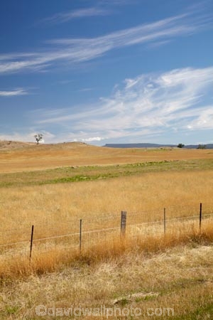 agricultural;agriculture;Australasian;Australia;Australian;Cental-Tasmania;country;countryside;farm;farming;farmland;farms;fence;fence-line;fence-lines;fence_line;fence_lines;fenceline;fencelines;fences;field;fields;Island-of-Tasmania;meadow;meadows;Midland-Highway;Midlands;Midlands-Highway;paddock;paddocks;pasture;pastures;rural;State-of-Tasmania;Tas;Tasmania