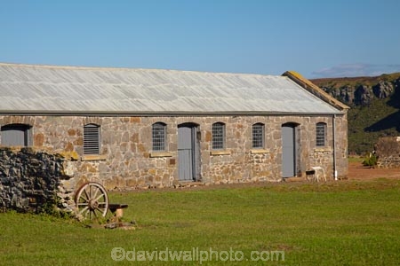agricultural;agriculture;Australasian;Australia;Australian;building;buildings;country;countryside;farm;Farm-Building;Farm-Buildings;Farm-Shed;Farm-Sheds;farming;farmland;farms;field;fields;heritage;Highfield;Highfield-Estate;Highfield-Farm;Highfield-Historic-Farm;Highfield-Historic-Site;historic;historic-building;historic-buildings;historical;historical-building;historical-buildings;history;Island-of-Tasmania;meadow;meadows;North-Western-Tasmania;North-WestTasmania;Northern-Tasmania;Northwestern-Tasmania;NorthwestTasmania;old;paddock;paddocks;pasture;pastures;rural;Stanley;Stanley-Peninsula;State-of-Tasmania;Tas;Tasmania;The-North;tradition;traditional