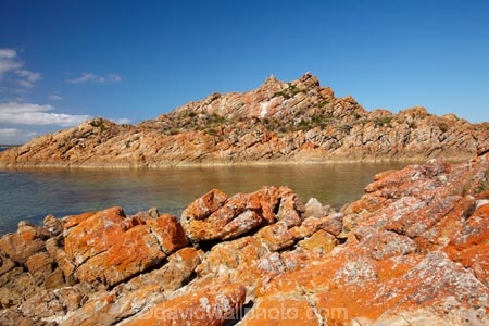 algae;Australasian;Australia;Australian;coast;coastal;coastline;coastlines;coasts;foreshore;fungi;Island-of-Tasmania;lichens;North-West-Tasmania;North-Western-Tasmania;Northern-Tasmania;orange;orange-lichen;orange-lichens;orange-rock;orange-rock-lichen;orange-rock-lichens;orange-rocks;shore;shoreline;shorelines;shores;State-of-Tasmania;Tas;Tasmania;The-North;West-Point;West-Point-State-Reserve