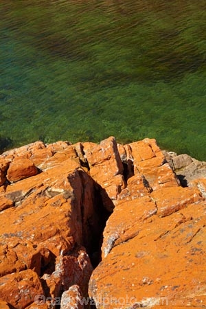 algae;Australasian;Australia;Australian;coast;coastal;coastline;coastlines;coasts;foreshore;fungi;Island-of-Tasmania;lichens;North-West-Tasmania;North-Western-Tasmania;Northern-Tasmania;orange;orange-lichen;orange-lichens;orange-rock;orange-rock-lichen;orange-rock-lichens;orange-rocks;shore;shoreline;shorelines;shores;State-of-Tasmania;Tas;Tasmania;The-North;West-Point;West-Point-State-Reserve