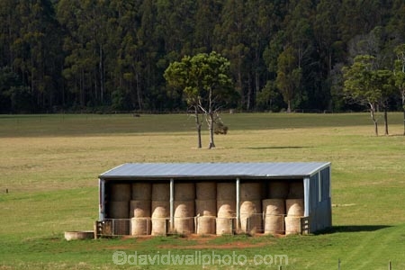 agricultural;agriculture;Australasian;Australia;Australian;country;countryside;farm;Farm-Building;Farm-Buildings;Farm-Shed;Farm-Sheds;farming;farmland;farms;field;fields;hay-bale;hay-bales;Hay-Barn;Hay-Barns;Hay-Sheds;hay-stack;hay-stacls;hay_bale;hay_bales;hay_stack;hay_stacls;haybarn;haybarns;hayshed;haysheds;haystack;haystacls;Island-of-Tasmania;Marrawah;meadow;meadows;Northern-Tasmania;paddock;paddocks;pasture;pastures;rural;Shearing-Sheds;State-of-Tasmania;stock-feed;Tas;Tasmania;The-North;winter-feed