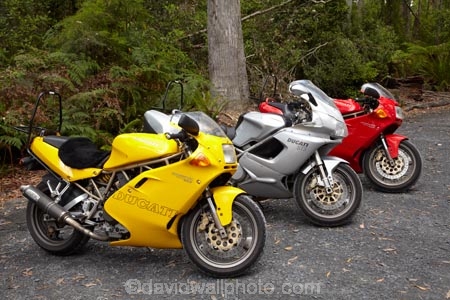 Australasian;Australia;Australian;Bass-Highway;bike;bikes;Ducati;Ducati-DS3;Ducati-Supersport-900;Ducatis;Island-of-Tasmania;motorbike;motorbikes;motorcycle;motorcycles;Northern-Tasmania;Red-Ducati;Red-Ducatis;Silver-Ducati;Silver-Ducatis;State-of-Tasmania;Tas;Tasmania;The-North;Three-Ducati-Motorbikes;Three-Ducatis;Three-Motorbikes;Yellow-Ducati;Yellow-Ducatis