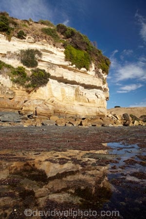 Australasian;Australia;Australian;bluff;bluffs;calm;clff;cliffs;coast;coastal;coastline;coastlines;coasts;foreshore;Fossil-Bluff;Fossil-Cliff;geological;geology;Island-of-Tasmania;North-West-Tasmania;North-Western-Tasmania;Northern-Tasmania;placid;quiet;reflection;reflections;rock;rock-formation;rock-formations;rock-outcrop;rock-outcrops;rocks;sandstone-cliffs;serene;shore;shoreline;shorelines;shores;smooth;State-of-Tasmania;still;stone;Tas;Tasmania;The-North;tranquil;water;Wynyard