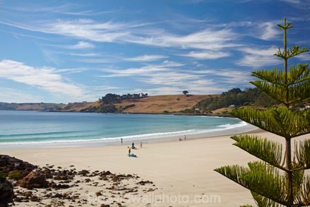 Australasian;Australia;Australian;Bass-Strait;beach;beaches;Boat-Harbour-Beach;coast;coastal;coastline;coastlines;coasts;foreshore;Island-of-Tasmania;North-West-Tasmania;North-Western-Tasmania;Northern-Tasmania;ocean;oceans;sand;sandy;sea;seas;shore;shoreline;shorelines;shores;State-of-Tasmania;Tas;Tasmania;The-North