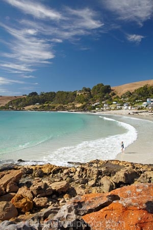 algae;Australasian;Australia;Australian;Bass-Strait;beach;beaches;Boat-Harbour-Beach;coast;coastal;coastline;coastlines;coasts;foreshore;fungi;Island-of-Tasmania;lichens;North-West-Tasmania;North-Western-Tasmania;Northern-Tasmania;ocean;oceans;orange;orange-lichen;orange-lichens;orange-rock;orange-rock-lichen;orange-rock-lichens;orange-rocks;sand;sandy;sea;seas;shore;shoreline;shorelines;shores;State-of-Tasmania;Tas;Tasmania;The-North