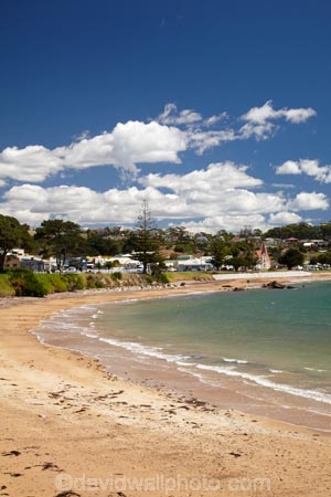 Australasian;Australia;Australian;Bass-Strait;beach;beaches;coast;coastal;coastline;coastlines;coasts;foreshore;Island-of-Tasmania;Northern-Tasmania;ocean;oceans;Penguin;sand;sandy;sea;seas;shore;shoreline;shorelines;shores;State-of-Tasmania;Tas;Tasmania;The-North