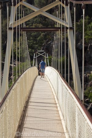 1904;Alexandra-Suspension-Bridge;australasian;australia;australian;bridge;bridges;cataract;Cataract-Gorge;Cataract-Gorge-Reserve;esk;First-Basin;foot-bridge;foot-bridges;footbridge;footbridges;gorge;gorges;heritage;hiking-track;hiking-tracks;historic;historic-bridge;historic-bridges;historic-place;historic-places;historic-site;historic-sites;historical;historical-place;historical-places;historical-site;historical-sites;history;Island-of-Tasmania;launceston;North-Tasmania;northern;Northern-Tasmania;o8l3772;old;pedestrian-bridge;pedestrian-bridges;people;person;river;south;South-Esk-River;State-of-Tasmania;suspension-bridge;suspension-bridges;swing-bridge;swing-bridges;Tas;tasmania;tourism;tourist;tourists;track;tracks;tradition;traditional;walker;walkers;walking-track;walking-tracks;wire-bridge;wire-bridges