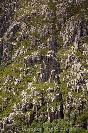 Australasian;Australia;Australian;Ben-Lomond-N.P.;Ben-Lomond-National-Park;Ben-Lomond-NP;Ben-Lomond-Plateau;bluff;bluffs;cliff;cliffs;column;columns;dolerite;dolerite-columns;East-Tasmania;Eastern-Tasmania;geological;geology;Island-of-Tasmania;national-park;national-parks;North-East-Tasmania;North-Eastern-Tasmania;North-Tasmania;Northern-Tasmania;organ-pipes;rock;rock-formation;rock-formations;rock-outcrop;rock-outcrops;rocks;rural;State-of-Tasmania;stone;Tas;Tasmania