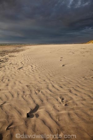 Australasia;Australasian;Australia;Australian;beach;beaches;black-cloud;black-clouds;black-sky;cloud;cloudy;coast;coastal;coastline;dark-cloud;dark-clouds;dark-sky;gray-cloud;gray-clouds;gray-sky;grey-cloud;grey-clouds;grey-sky;Island-of-Tasmania;Ocean-Beach;rain-cloud;rain-clouds;ripple;ripples;sand;sand-ripple;sand-ripples;sandy;State-of-Tasmania;storm;storm-clouds;storms;stormy;Strahan;Tas;Tasmania;The-West;West-Tasmania;Western-Tasmania;wind-ripple;wind-ripples