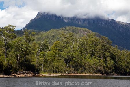 Australasian;Australia;Australian;Island-of-Tasmania;lake;Lake-Rosebery;lakes;State-of-Tasmania;Tas;Tasmania;The-West;Tullah;West-Tasmania;Western-Tasmania