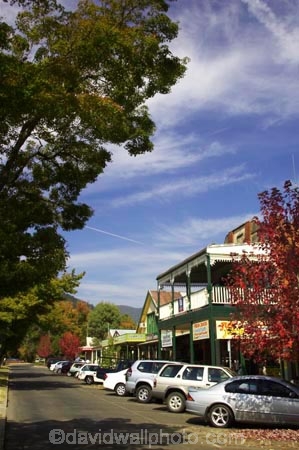 acer;australasia;Australia;australian;autuminal;autumn;autumn-colour;autumn-colours;autumnal;autumninal;Bright;building;buildings;color;colors;colour;colours;crimson;deciduous;fall;fall-color;fall-colors;foliage;heritage;historic;historic-building;historic-buildings;historical;historical-building;historical-buildings;history;leaf;leaves;maple;maples;old;red;scarlet;tradition;traditional;tree;trees;Victoria
