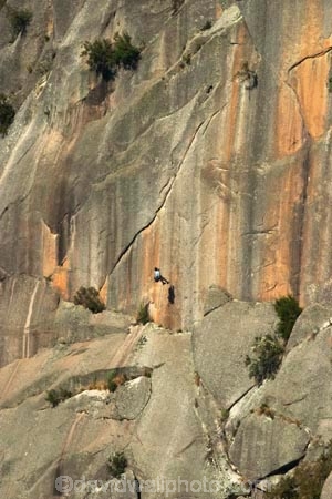 Ability;Activity;Adventure-sports;Alone;alpine;Ascend;Ascending;Ascension;Ascent;australasia;australia;australian;australian-alps;bluff;bluffs;Brave;Bravery;buffalo-gorge;cliff;cliffs;Climb;climber;Climbers;climbing;Courage;Danger;Dangerous;Daytime;Determination;Dexterity;Difficult;Difficulty;Exterior;Extreme;Harness;Harnesses;Hazard;high;Human;Leisure;mount-buffalo-n.p.;mount-buffalo-national-park;mount-buffalo-np;Mountaineering;mt-buffalo-n.p.;mt-buffalo-national-park;mt-buffalo-np;mt.-buffalo-n.p.;mt.-buffalo-national-park;mt.-buffalo-np;One;One-person;Outdoor;Outdoors;Outside;People;Person;Persons;Recreation;Risk;risky;Rock;rock-climber;rock-climbers;Rock-Climbing;Rocks;rope;ropes;Scale;Single;Skill;Skilled;Sport;Sports;steep;Strength;Tough;Transcend;Transcending;vertical;victoria;victorian-alps;Wall;Walls