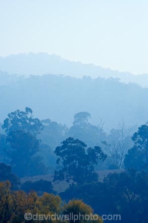 air-pollution;air-polutants;air-quality;airshed;airsheds;atmosphere;Australia;autuminal;autumn;autumnal;bad-air-quality;Berringama;burnoff;burnoffs;bush-fire;bush-fires;bush_fire;bush_fires;bushfire;bushfires;carbon-footprint;Corryong;deciduous;Eastern-Victoria;emissions;emit;emsision;environment;eucalypt;eucalypts;eucalyptus;eucalytis;fall;global-warming;greenhouse-gas;greenhouse-gases;gum;gum-tree;gum-trees;gums;haze;hazey;hazy;high-pollution-day;high-pollution-days;hill;hills;Mount-Burrowa;Mt-Burrowa;Mt.-Burrowa;pollute;polluting;pollution;poor-air-quality;season;seasonal;seasons;Shelley;smog;smoggy;smoke;smokey;smoky;Tallangatta;tree;trees;VIC;Victoria