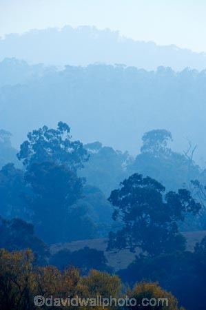 air-pollution;air-polutants;air-quality;airshed;airsheds;atmosphere;Australia;autuminal;autumn;autumnal;bad-air-quality;Berringama;burnoff;burnoffs;bush-fire;bush-fires;bush_fire;bush_fires;bushfire;bushfires;carbon-footprint;Corryong;deciduous;Eastern-Victoria;emissions;emit;emsision;environment;eucalypt;eucalypts;eucalyptus;eucalytis;fall;global-warming;greenhouse-gas;greenhouse-gases;gum;gum-tree;gum-trees;gums;haze;hazey;hazy;high-pollution-day;high-pollution-days;hill;hills;Mount-Burrowa;Mt-Burrowa;Mt.-Burrowa;pollute;polluting;pollution;poor-air-quality;season;seasonal;seasons;Shelley;smog;smoggy;smoke;smokey;smoky;Tallangatta;tree;trees;VIC;Victoria