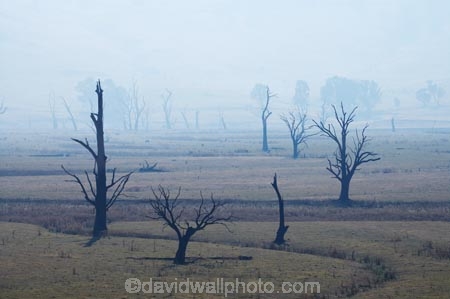 air-pollution;air-polutants;air-quality;airshed;airsheds;atmosphere;Australia;bad-air-quality;blackened-tree;blackened-trees;burnoff;burnoffs;burnt-tree;burnt-trees;bush-fire;bush-fires;bush_fire;bush_fires;bushfire;bushfires;carbon-footprint;dead-tree;dead-trees;drought;dry;Eastern-Victoria;emissions;emit;emsision;environment;global-warming;greenhouse-gas;greenhouse-gases;haze;hazey;hazy;high-pollution-day;high-pollution-days;Lake-Hume;Mitta-Arm;pollute;polluting;pollution;poor-air-quality;smog;smoggy;smoke;smokey;smoky;Tallangatta;tree;tree-stump;tree-stumps;tree-trunk;tree-trunks;trees;VIC;Victoria