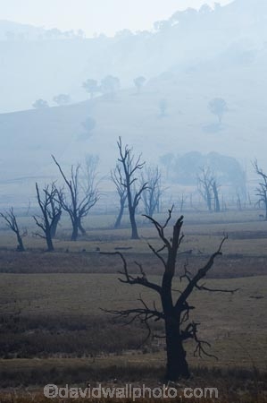 air-pollution;air-polutants;air-quality;airshed;airsheds;atmosphere;Australia;bad-air-quality;blackened-tree;blackened-trees;burnoff;burnoffs;burnt-tree;burnt-trees;bush-fire;bush-fires;bush_fire;bush_fires;bushfire;bushfires;carbon-footprint;dead-tree;dead-trees;drought;dry;Eastern-Victoria;emissions;emit;emsision;environment;global-warming;greenhouse-gas;greenhouse-gases;haze;hazey;hazy;high-pollution-day;high-pollution-days;Lake-Hume;Mitta-Arm;pollute;polluting;pollution;poor-air-quality;smog;smoggy;smoke;smokey;smoky;Tallangatta;tree;tree-stump;tree-stumps;tree-trunk;tree-trunks;trees;VIC;Victoria