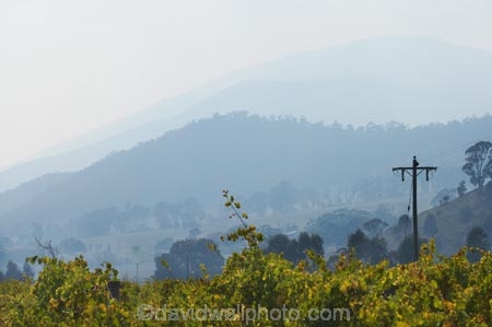 agricultural;agriculture;air-pollution;air-polutants;air-quality;airshed;airsheds;atmosphere;Australia;autuminal;autumn;autumn-colour;autumn-colours;autumnal;bad-air-quality;burnoff;burnoffs;bush-fire;bush-fires;bush_fire;bush_fires;bushfire;bushfires;carbon-footprint;color;colors;colour;colours;country;countryside;crop;crops;cultivation;deciduous;East-Victoria;Eastern-Victoria;emissions;emit;emsision;environment;fall;farm;farming;farmland;farms;field;fields;global-warming;grape;grapes;grapevine;greenhouse-gas;greenhouse-gases;haze;hazey;hazy;high-pollution-day;high-pollution-days;hill;hills;horticulture;Kiewa-Valley;leaf;leaves;Mount-Beauty;Mt-Beauty;Mt.-Beauty;pollute;polluting;pollution;poor-air-quality;rural;season;seasonal;seasons;smog;smoggy;smoke;smokey;smoky;tree;trees;VIC;Victoria;vine;vines;vineyard;vineyards;vintage;wine;wineries;winery;wines
