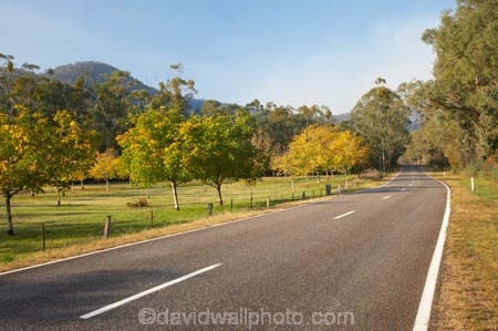Australia;autuminal;autumn;autumn-colour;autumn-colours;autumnal;centre-line;centre-lines;centre_line;centre_lines;centreline;centrelines;color;colors;colour;colours;country;countryside;crop;crops;deciduous;driving;East-Victoria;Eastern-Victoria;fall;farm;farming;farmland;farms;field;highway;highways;horticulture;leaf;leaves;nut;nut-tree;nut-trees;nuts;open-road;open-roads;orchard;orchards;road;road-trip;roads;row;rows;rural;season;seasonal;seasons;transport;transportation;travel;traveling;travelling;tree;trees;trip;VIC;Victoria;walnut;Walnut-Orchard;walnut-tree;walnut-trees;walnuts;yellow