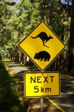 Wildlife - Australia