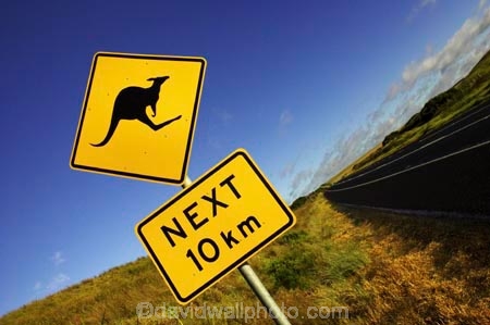 12-Apostles;australasia;Australia;australian;Great-Ocean-Road;kangaroo;Kangaroo-Warning-Sign;kangaroos;natural;nature;next-10-km;next-ten-km;Road;road-sign;road-signs;road_sign;road_signs;roads;roadsign;roadsigns;sign;signs;symbol;symbols;tranportation;transport;travel;Victoria;warn;warning;wildlife;yellow-black