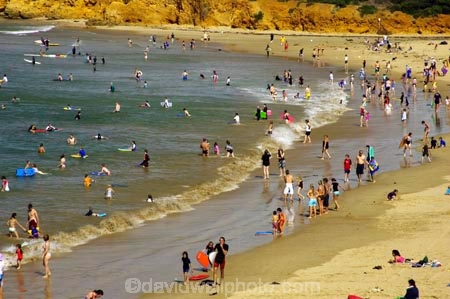 australasia;australasian;Australia;australian;bass-strait;bathe;bather;bathers;bathing;bay;bays;beach;beaches;coast;coastal;coastline;coastlines;coasts;excitement;exciting;freedom;great-ocean-highway;Great-Ocean-Road;great-ocean-route;hot;leisure;ocean;oceans;people;person;persons;play;playing;recreation;relax;relaxing;sand;sand-sandy;sandy;sea;seas;shore;shoreline;shorelines;shores;southern-ocean;sport;summer;sun-bake;sun-baking;sun_bathe;sun_bather;sun_bathers;sun_bathing;sunbathe;sunbather;sunbathers;sunbathing;surf;surf-beach;surf-board;surf-boards;surf-coast;surfboard;surfboards;surfer;surfers;surfing;swim;swimmer;swimmers;swimming;tasman-sea;torquay;tourism;travel;Victoria;water;wave;waves;wet;yellow-sand
