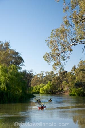 adventure;adventure-tourism;Australasian;Australia;Australian;boat;boats;canoe;canoeing;canoes;kayak;kayaker;kayakers;kayaking;kayaks;Murray-River;N.S.W.;New-South-Wales;NSW;paddle;paddler;paddlers;paddling;river;rivers;sea-kayak;sea-kayaker;sea-kayakers;sea-kayaking;sea-kayaks;Swan-Hill;Vic;Victoria