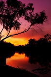 australasia;Australia;australian;break-of-day;dawn;dawning;daybreak;dusk;echica;eucalypt;eucalypts;eucalyptus;eucalytis;evening;first-light;gum;gum-tree;gum-trees;gums;Moama;morning;Murray-River;n.s.w.;New-South-Wales;nightfall;nsw;orange;reflection;reflections;river;rivers;silhouette;silhouettes;sky;sunrise;sunrises;sunset;sunsets;sunup;twilight;Victoria
