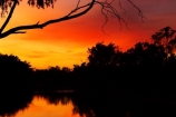 australasia;Australia;australian;break-of-day;dawn;dawning;daybreak;dusk;echica;eucalypt;eucalypts;eucalyptus;eucalytis;evening;first-light;gum;gum-tree;gum-trees;gums;Moama;morning;Murray-River;n.s.w.;New-South-Wales;nightfall;nsw;orange;reflection;reflections;river;rivers;silhouette;silhouettes;sky;sunrise;sunrises;sunset;sunsets;sunup;twilight;Victoria