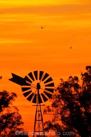 agriculature;agricultural;agriculture;australasia;australia;australian;bore-pump;bore-pumps;borepump;borepumps;break-of-day;country;countryside;dawn;dawning;daybreak;dusk;evening;farm;farming;farmland;farms;field;fields;first-light;morning;nightfall;orange;rural;silhouette;silhouettes;sky;sunrise;sunrises;sunset;sunsets;sunup;twilight;victoria;wind;wind-mill;wind-mills;wind_mill;wind_mills;windmill;windmills;windy