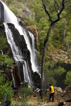 australasia;australasian;Australia;cascade;cascades;creek;creeks;falls;grampian-national-park;grampians-N.P.;Grampians-National-Park;Mackenzie-Falls;mckenzie-falls;national-parks;natural;nature;people;person;scene;scenic;stream;streams;tourism;tourist;tourists;travel;Victoria;water;water-fall;water-falls;waterfall;waterfalls;wet