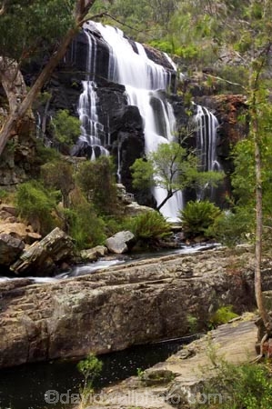 australasia;australasian;Australia;cascade;cascades;creek;creeks;falls;grampian-national-park;grampians-N.P.;Grampians-National-Park;Mackenzie-Falls;mckenzie-falls;national-parks;natural;nature;scene;scenic;stream;streams;Victoria;water;water-fall;water-falls;waterfall;waterfalls;wet