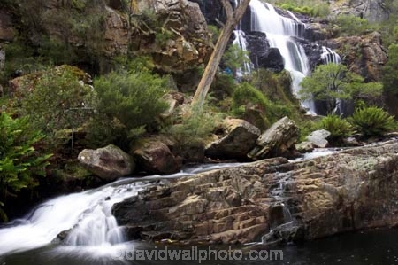 australasia;australasian;Australia;cascade;cascades;creek;creeks;falls;grampian-national-park;grampians-N.P.;Grampians-National-Park;Mackenzie-Falls;mckenzie-falls;national-parks;natural;nature;scene;scenic;stream;streams;Victoria;water;water-fall;water-falls;waterfall;waterfalls;wet