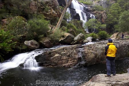 australasia;australasian;Australia;cascade;cascades;creek;creeks;falls;grampian-national-park;grampians-N.P.;Grampians-National-Park;Mackenzie-Falls;mckenzie-falls;national-parks;natural;nature;people;person;scene;scenic;stream;streams;tourism;tourist;tourists;travel;Victoria;water;water-fall;water-falls;waterfall;waterfalls;wet