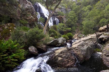 australasia;australasian;Australia;cascade;cascades;creek;creeks;falls;grampian-national-park;grampians-N.P.;Grampians-National-Park;Mackenzie-Falls;mckenzie-falls;national-parks;natural;nature;scene;scenic;stream;streams;Victoria;water;water-fall;water-falls;waterfall;waterfalls;wet