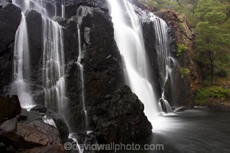 australasia;australasian;Australia;cascade;cascades;creek;creeks;falls;grampian-national-park;grampians-N.P.;Grampians-National-Park;Mackenzie-Falls;mckenzie-falls;national-parks;natural;nature;scene;scenic;stream;streams;Victoria;water;water-fall;water-falls;waterfall;waterfalls;wet