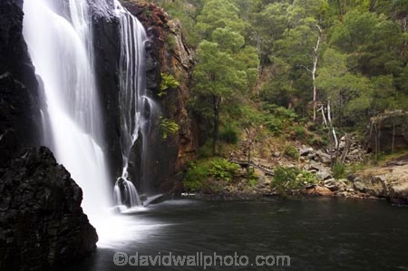 australasia;australasian;Australia;cascade;cascades;creek;creeks;falls;grampian-national-park;grampians-N.P.;Grampians-National-Park;Mackenzie-Falls;mckenzie-falls;national-parks;natural;nature;scene;scenic;stream;streams;Victoria;water;water-fall;water-falls;waterfall;waterfalls;wet