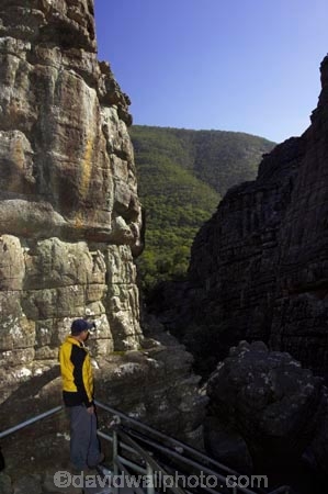 australasia;australasian;Australia;bluff;bluffs;canyon;canyons;cliff;cliffs;erosion;geological-formation;geological-formations;geology;gorge;gorges;grampian-national-park;grampians-N.P.;Grampians-National-Park;grampians-np;grand-canyon;national-parks;natural;nature;people;person;persons;ravine;ravines;rock;rock-formation;rock-formations;rocks;rocky;scene;scenic;stair;staircase;staircases;stairs;stairway;stairways;stone;tourism;tourist;tourists;travel;Victoria